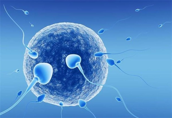 西安2024人工助孕的过程一览人授和试管婴儿还真不同