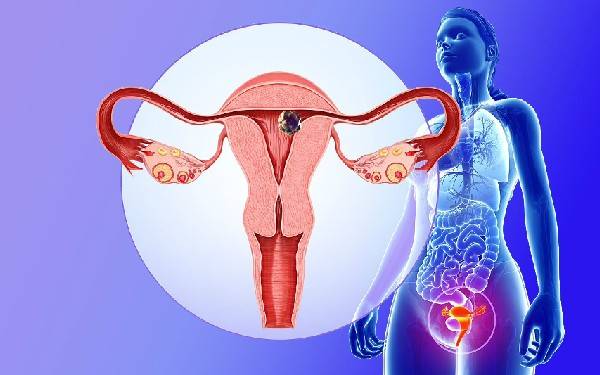 2024年国内单身女性可以去美国做试管婴儿助孕吗