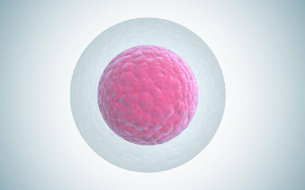 试管鲜胚移植后第四天成功会有哪些信号，7个征兆详解