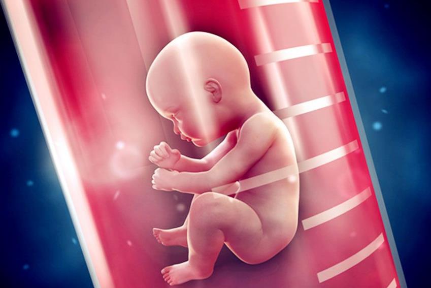 试管婴儿会比较快测到怀孕吗内附第二次验孕时间分析