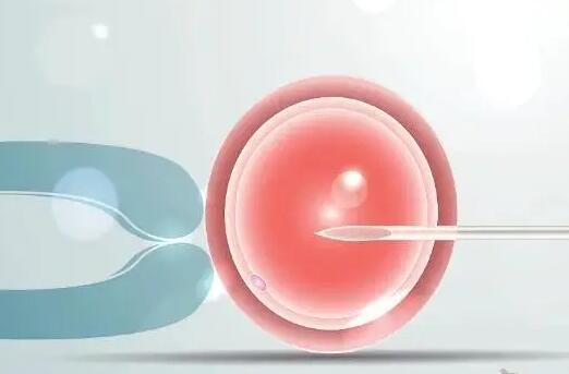 转氨酶高为何会导致囊胚移植的等待，原因和重要性分析
